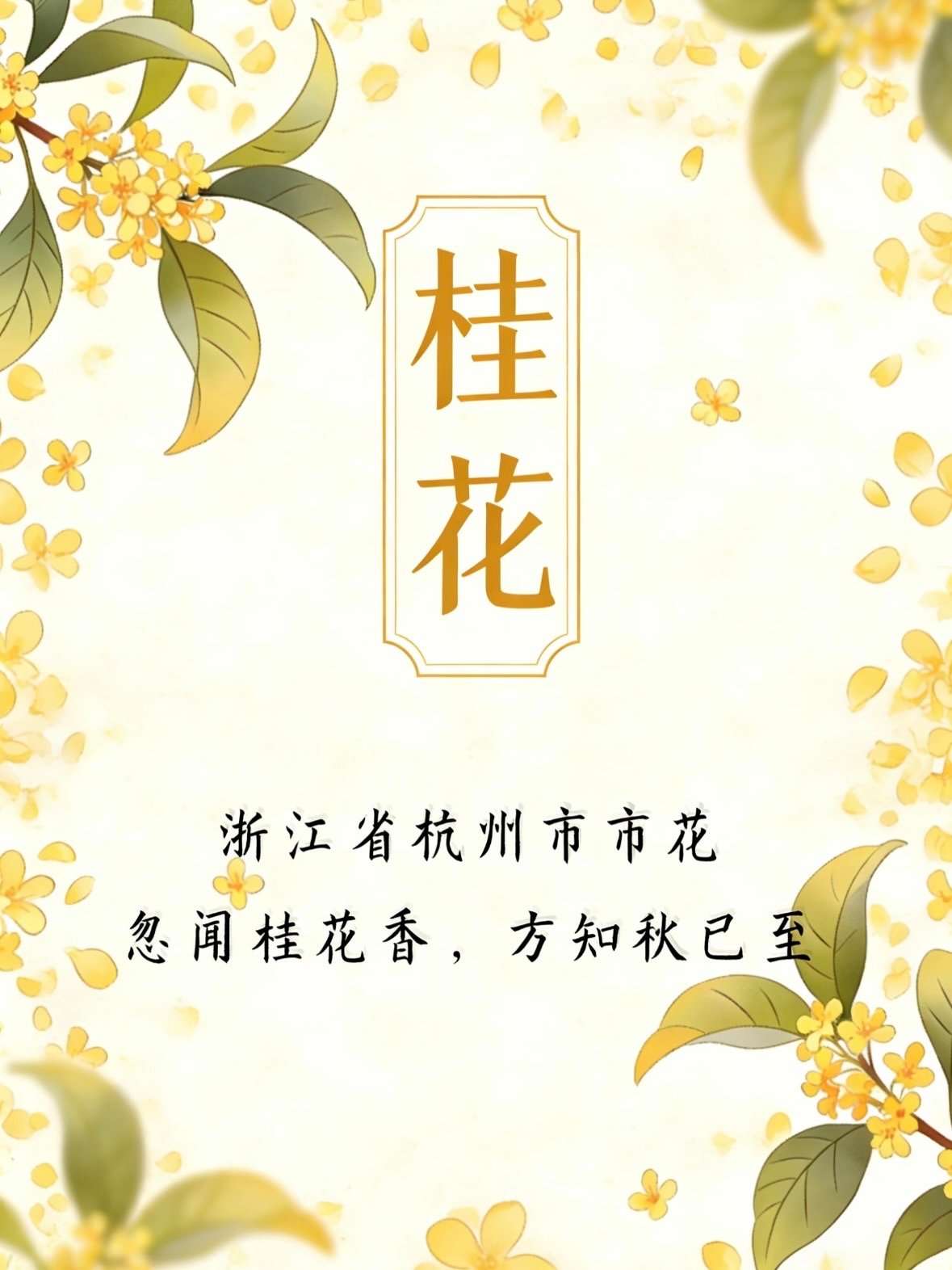🌼 杭州桂花｜一座城市的秋日灵魂与文化符号✨