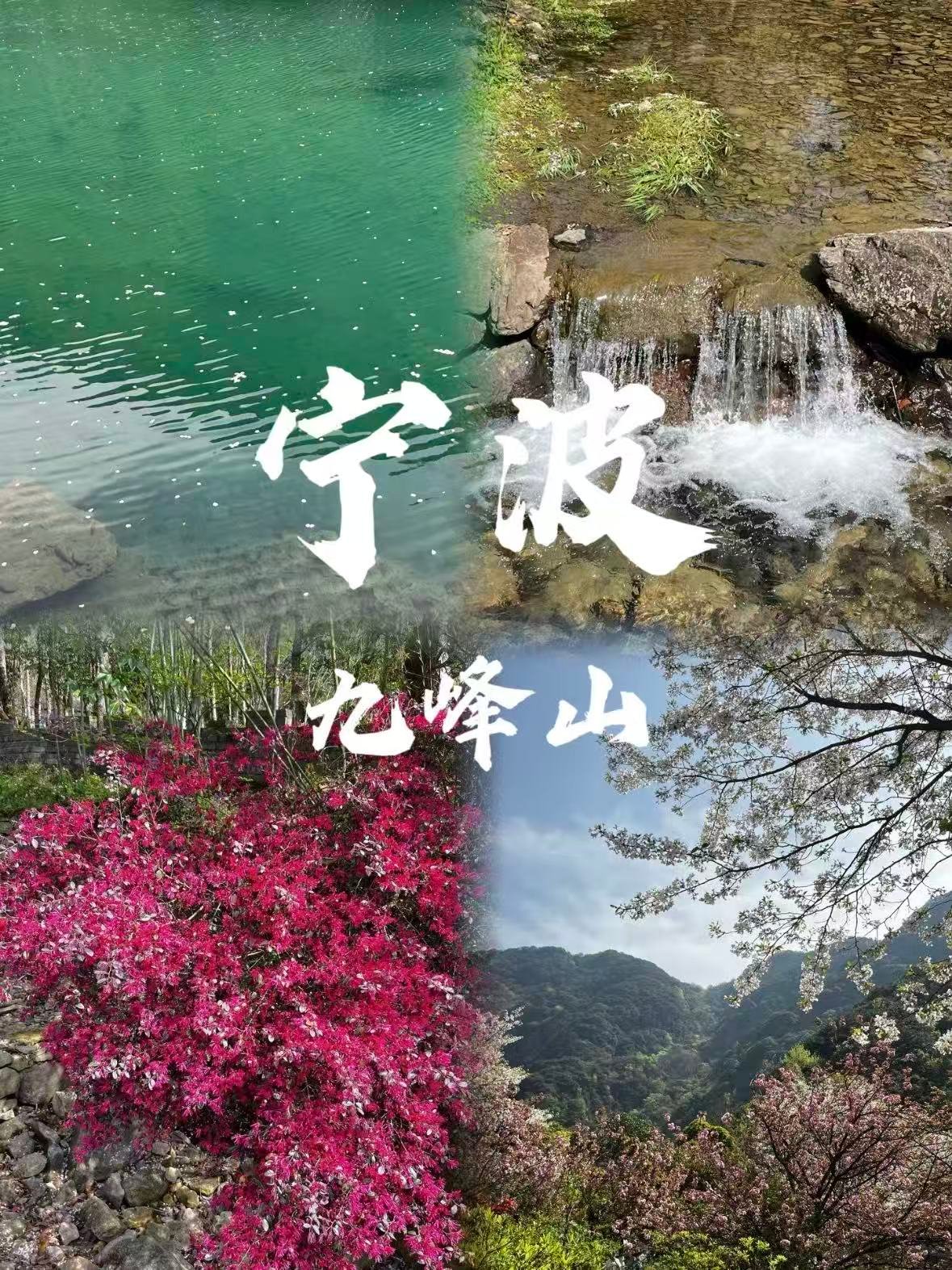 🌿 宁波九峰山｜藏在山野间的春日秘境