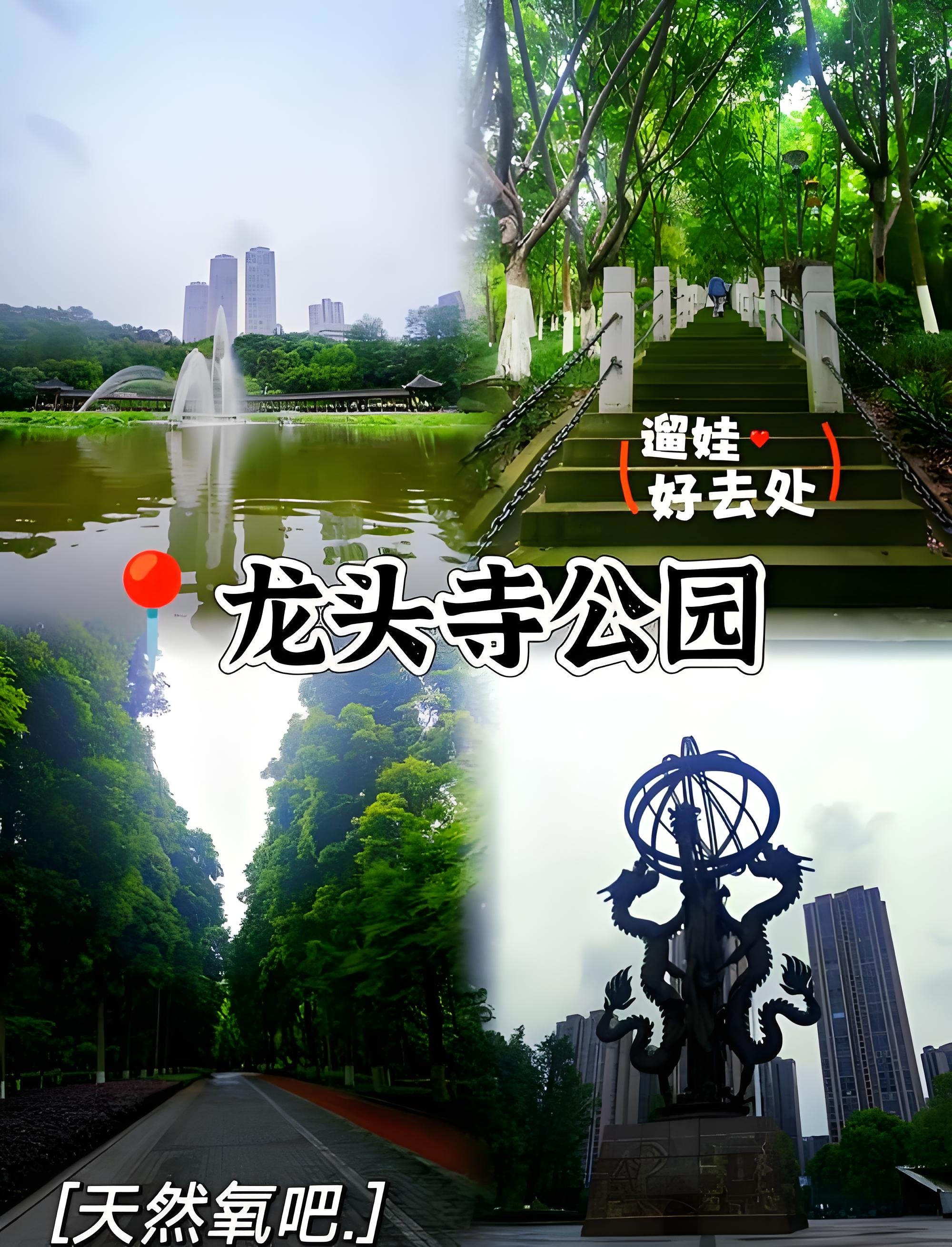 重庆龙头寺公园全攻略🌳主城超大城市免费森林公园｜四季赏花 + 休闲遛娃