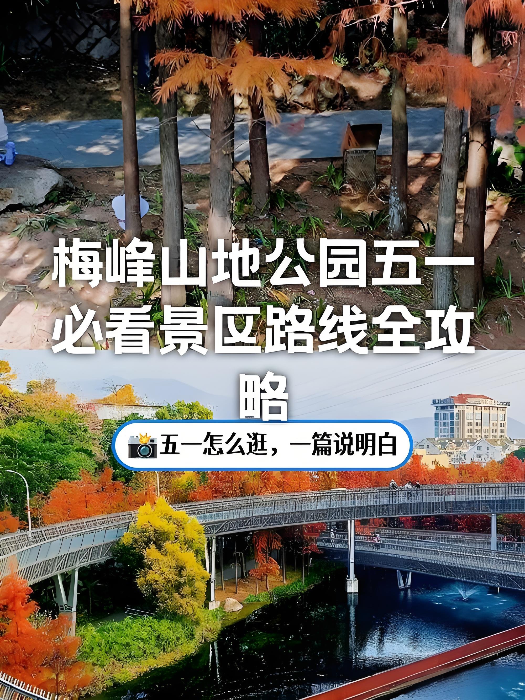 福州梅峰山地公园｜网红水杉悬空栈道打卡攻略🍂