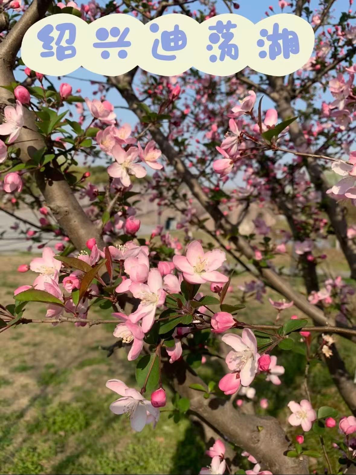 绍兴迪荡湖｜藏在城市里的春日秘境🌿