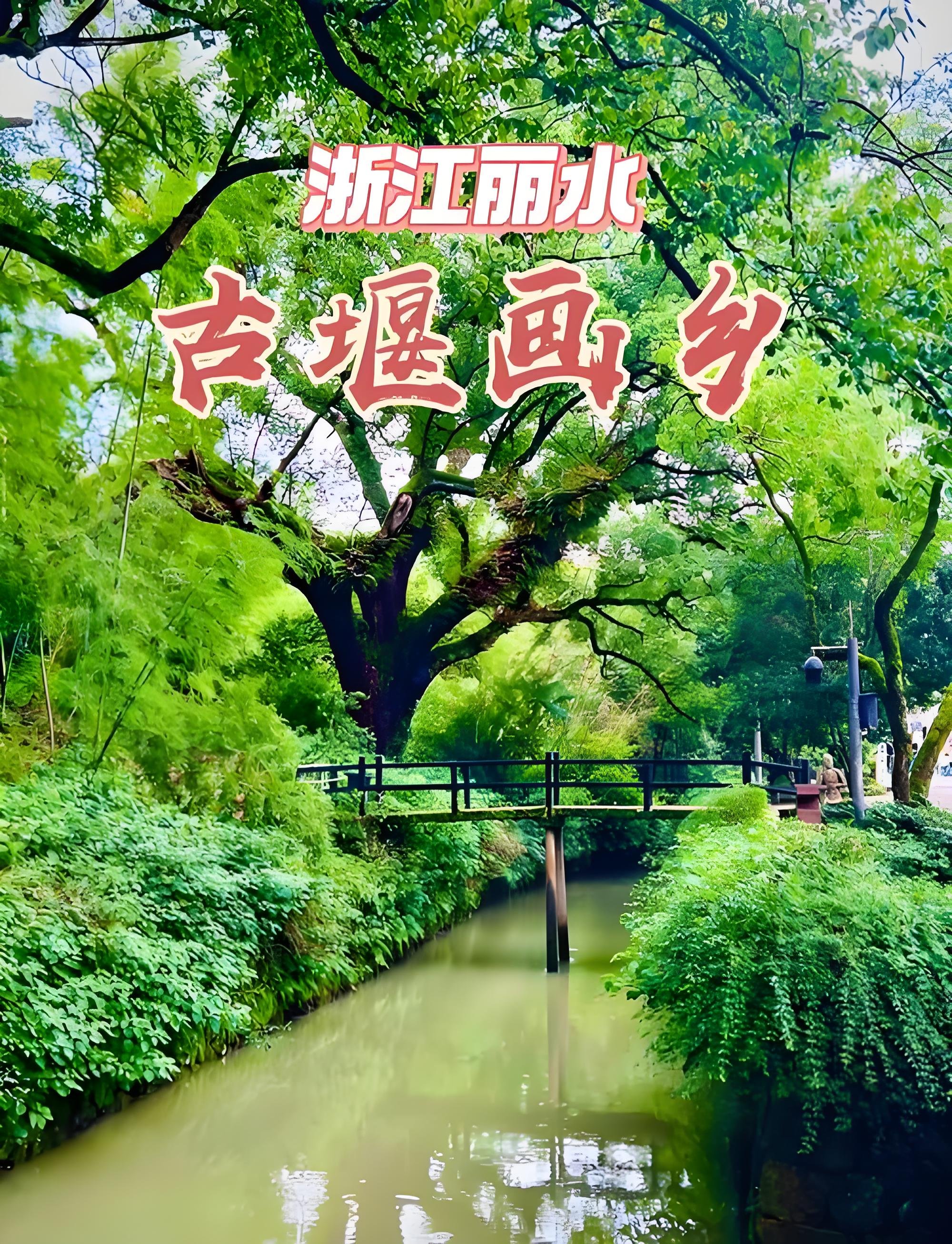 丽水古堰画乡｜藏在瓯江边的江南秘境✨