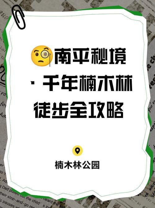 南平楠木林公园徒步攻略🌳｜免费小众森系秘境