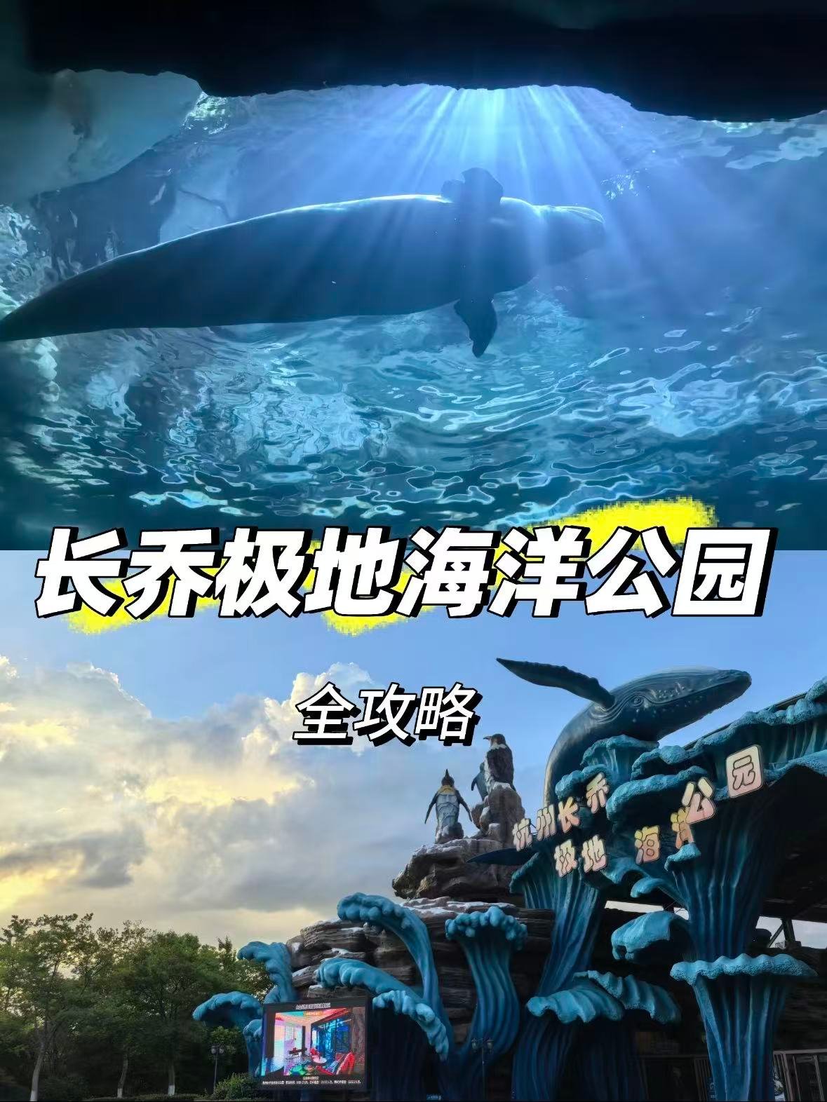 杭州长乔极地海洋公园｜沉浸式海洋秘境全攻略🐳