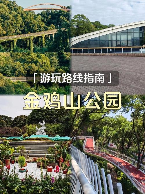 福州金鸡山公园游玩攻略🌿