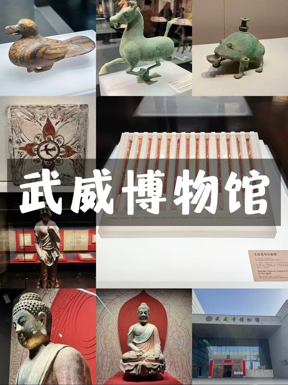 武威市博物馆｜河西走廊的千年宝藏博物馆✨