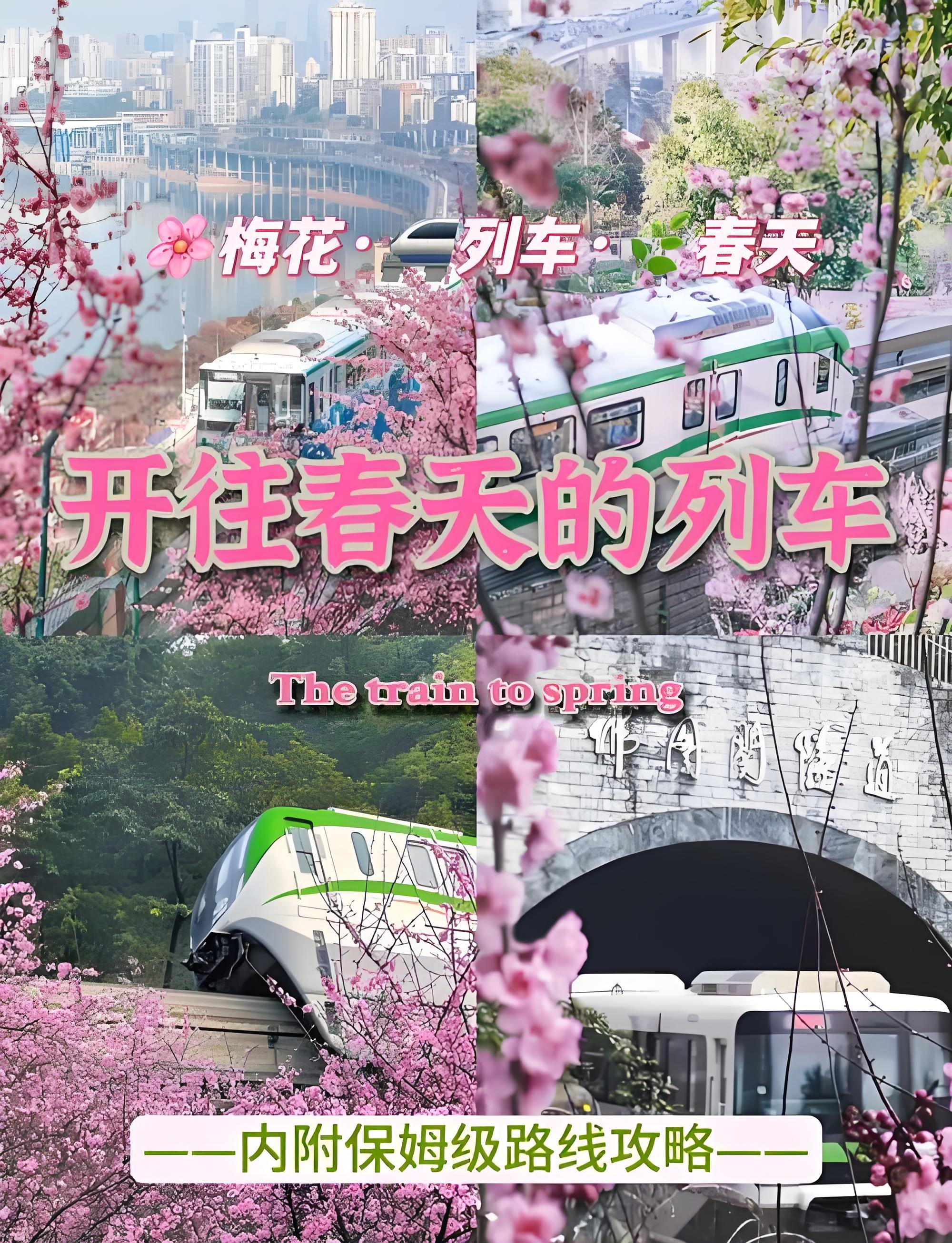 重庆｜开往春天的列车保姆打卡攻略✨樱花裹着单轨封神