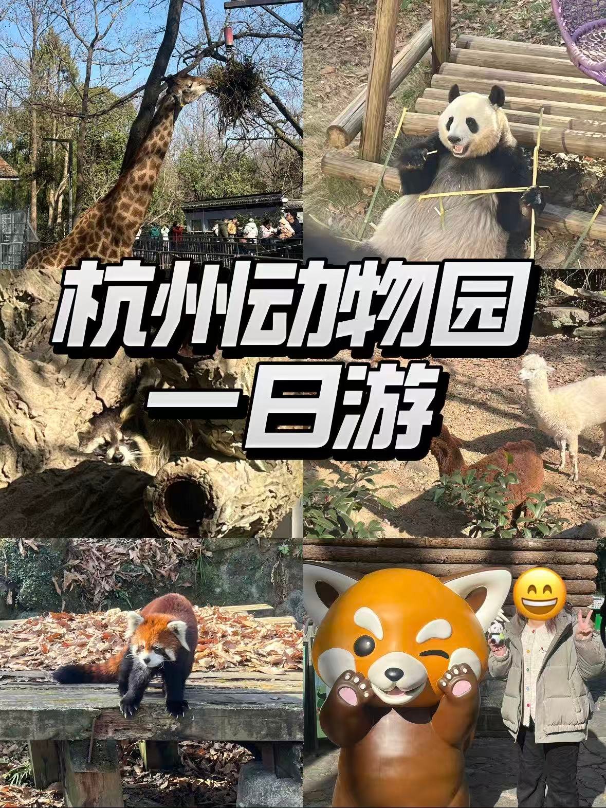 杭州动物园｜超治愈的城市野生萌宠乐园🐼
