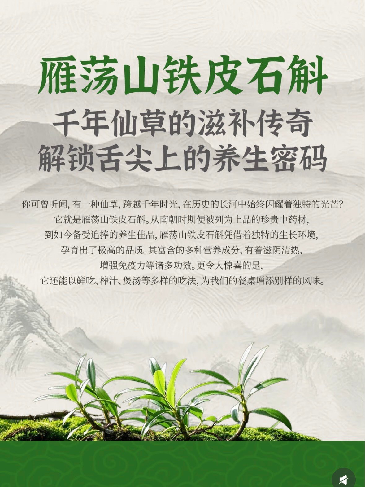 🌿 雁荡山铁皮石斛｜这株千年仙草，温州人从小吃到大✨