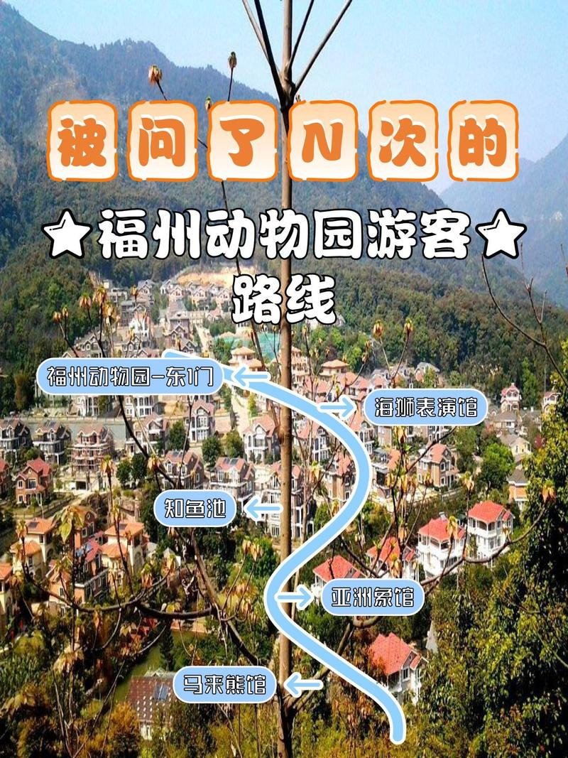 福州动物园游玩攻略🐼