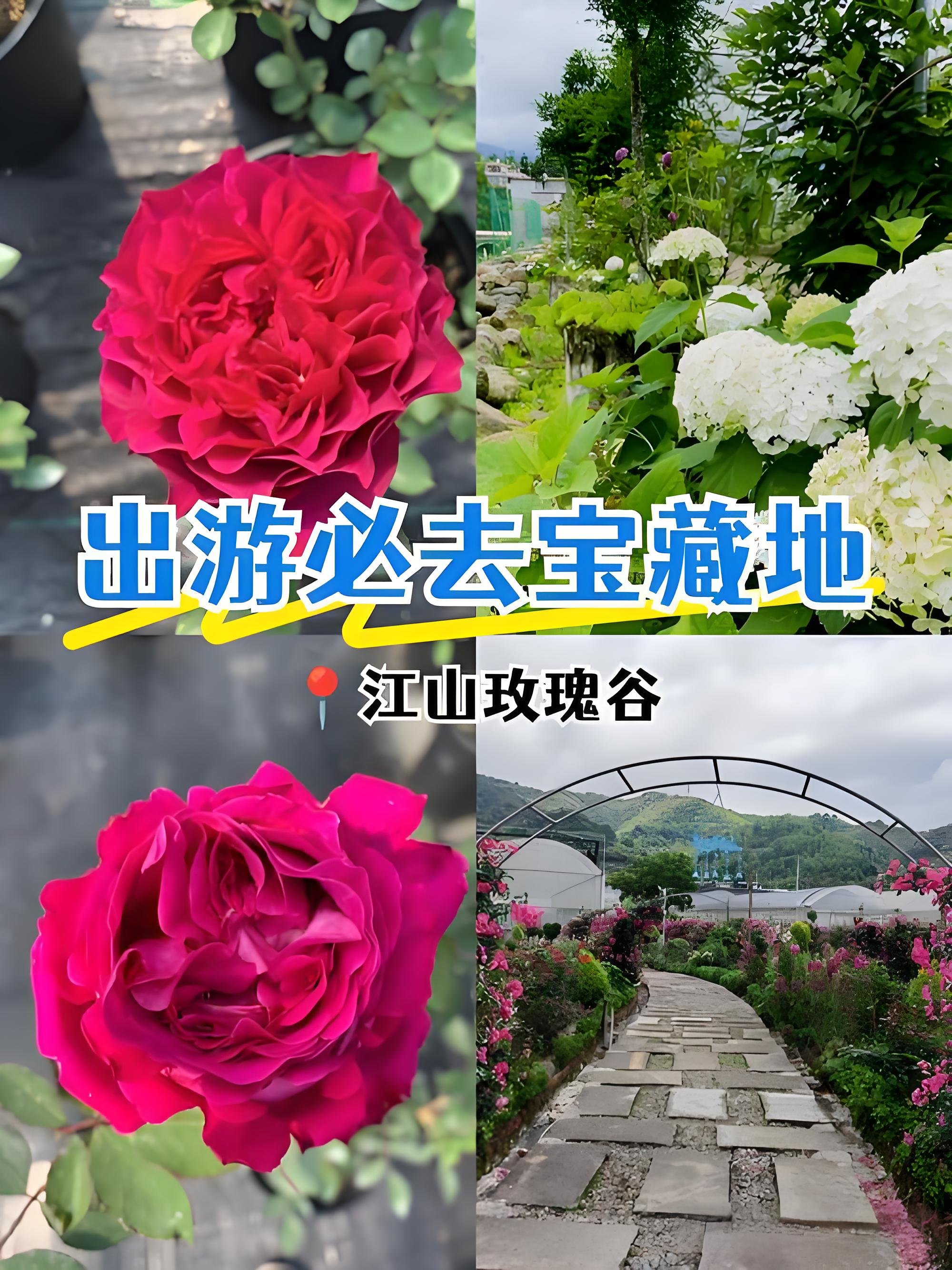 龙岩江山玫瑰谷｜闯入现实版莫奈花园，少女心直接被拿捏住💐