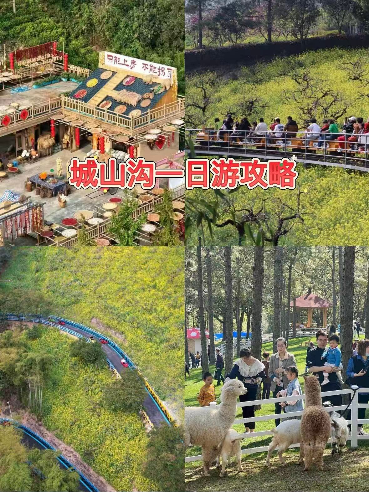 湖州城山沟｜春日限定油菜花秘境，玩遍山野乐趣✨