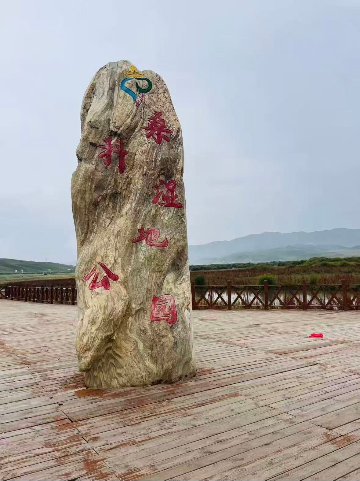 🌿 甘南・桑科湿地公园｜草原上的鸟类天堂✨