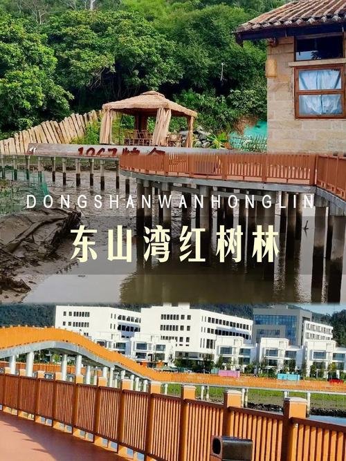 漳州东山湾红树林｜滨海治愈秘境🌿