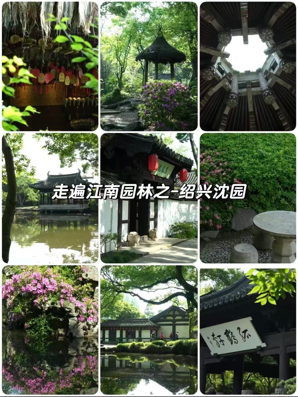 绍兴沈园｜藏在江南园林里的陆游爱情故事🌿