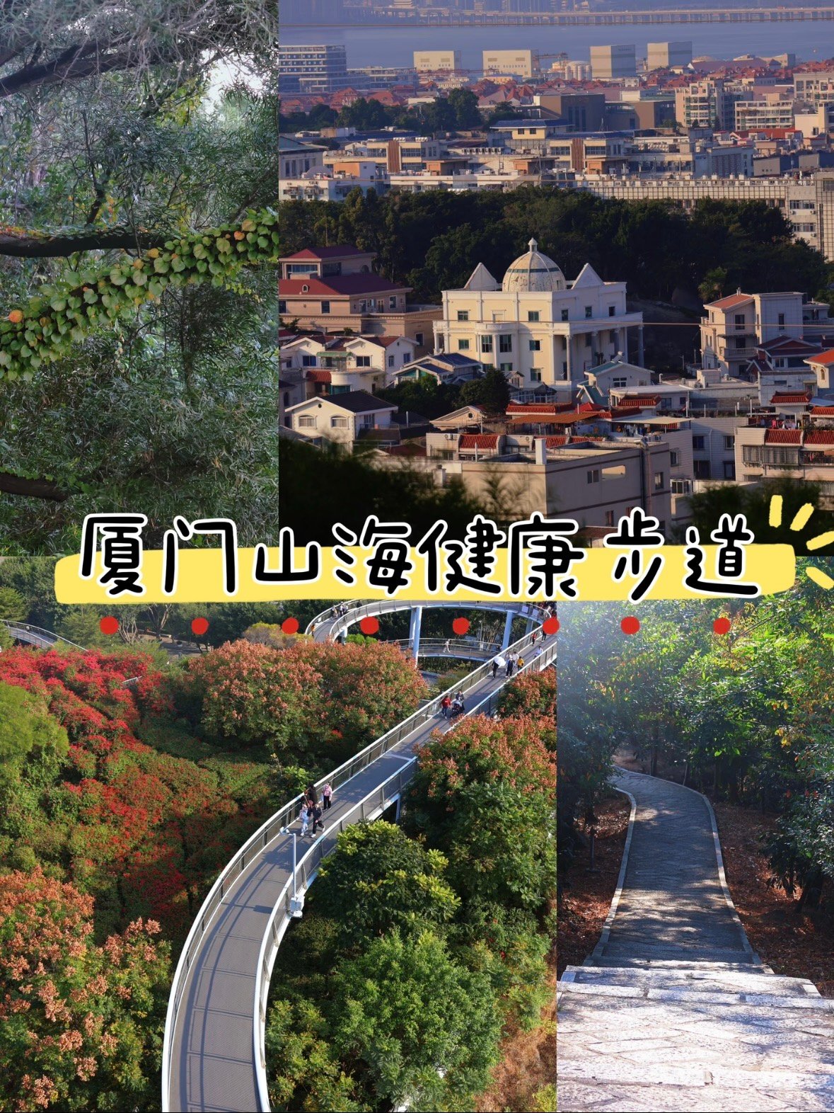 厦门山海健康步道｜藏在城市里的 “空中森林”✨