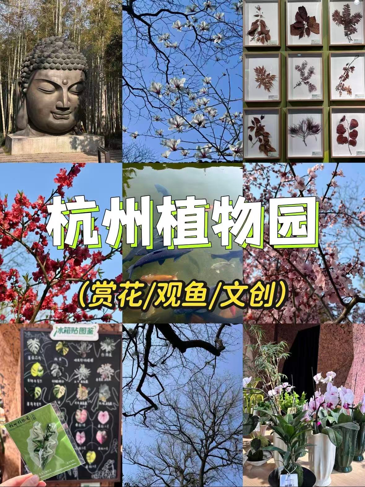 杭州植物园｜春日限定浪漫与艺术打卡地🌿