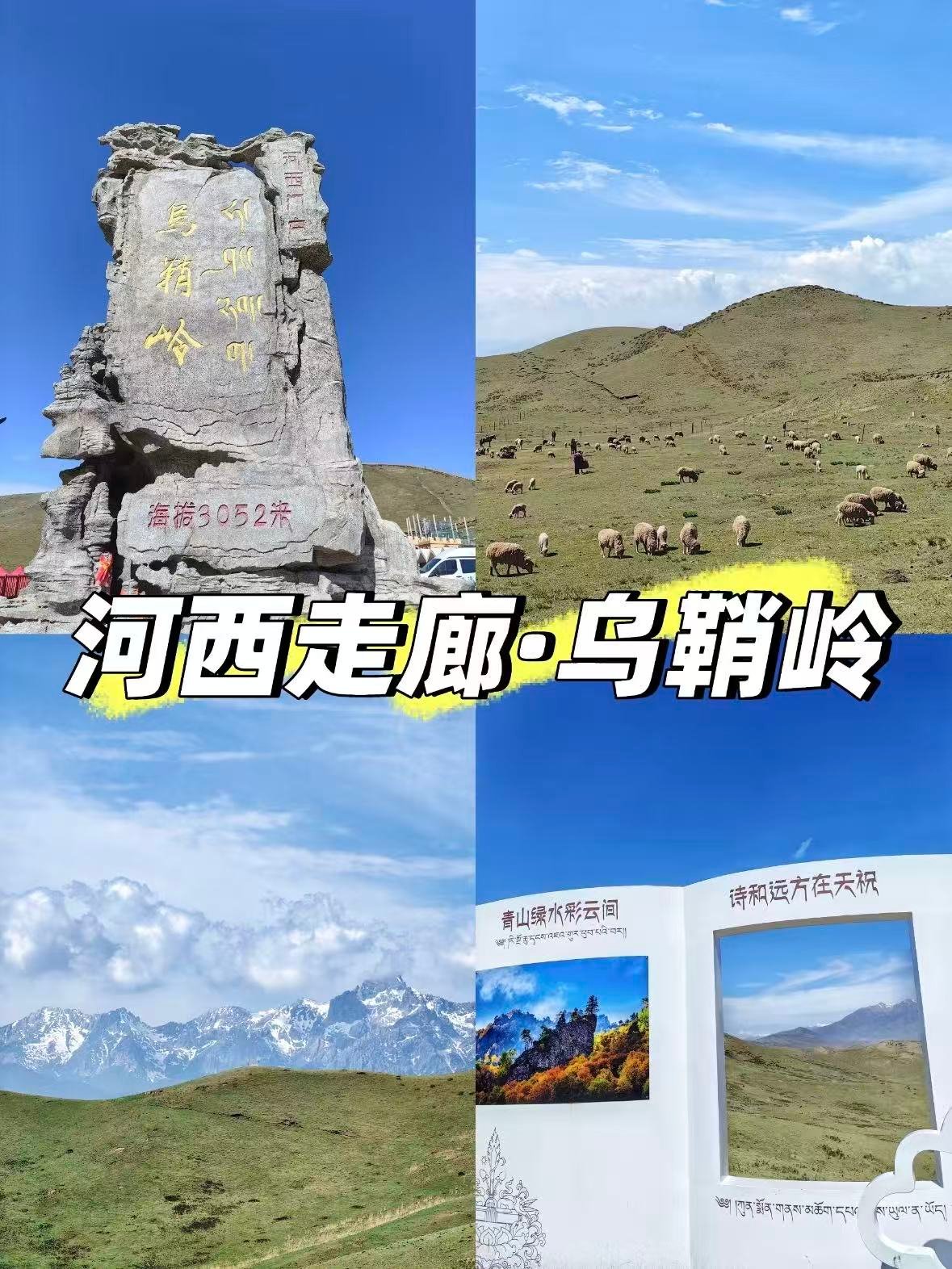 乌鞘岭｜河西走廊的门户，一眼望尽祁连雪山✨