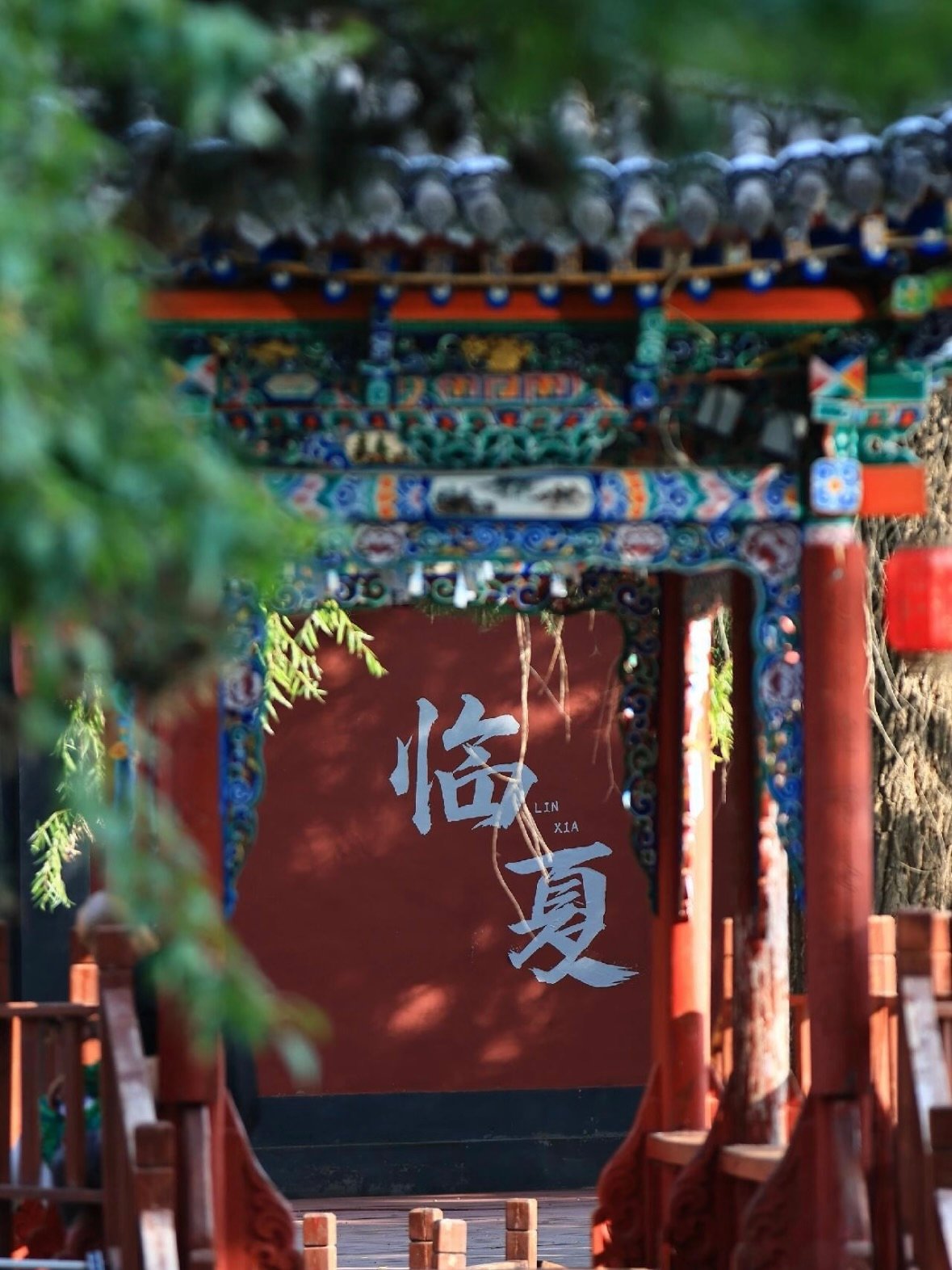 临夏红园｜藏在闹市中的江南园林，一步一景皆诗意✨