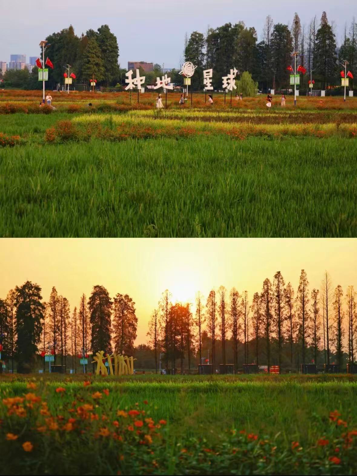 🌾 种地星球（后陡门）｜十个勤天的治愈乌托邦