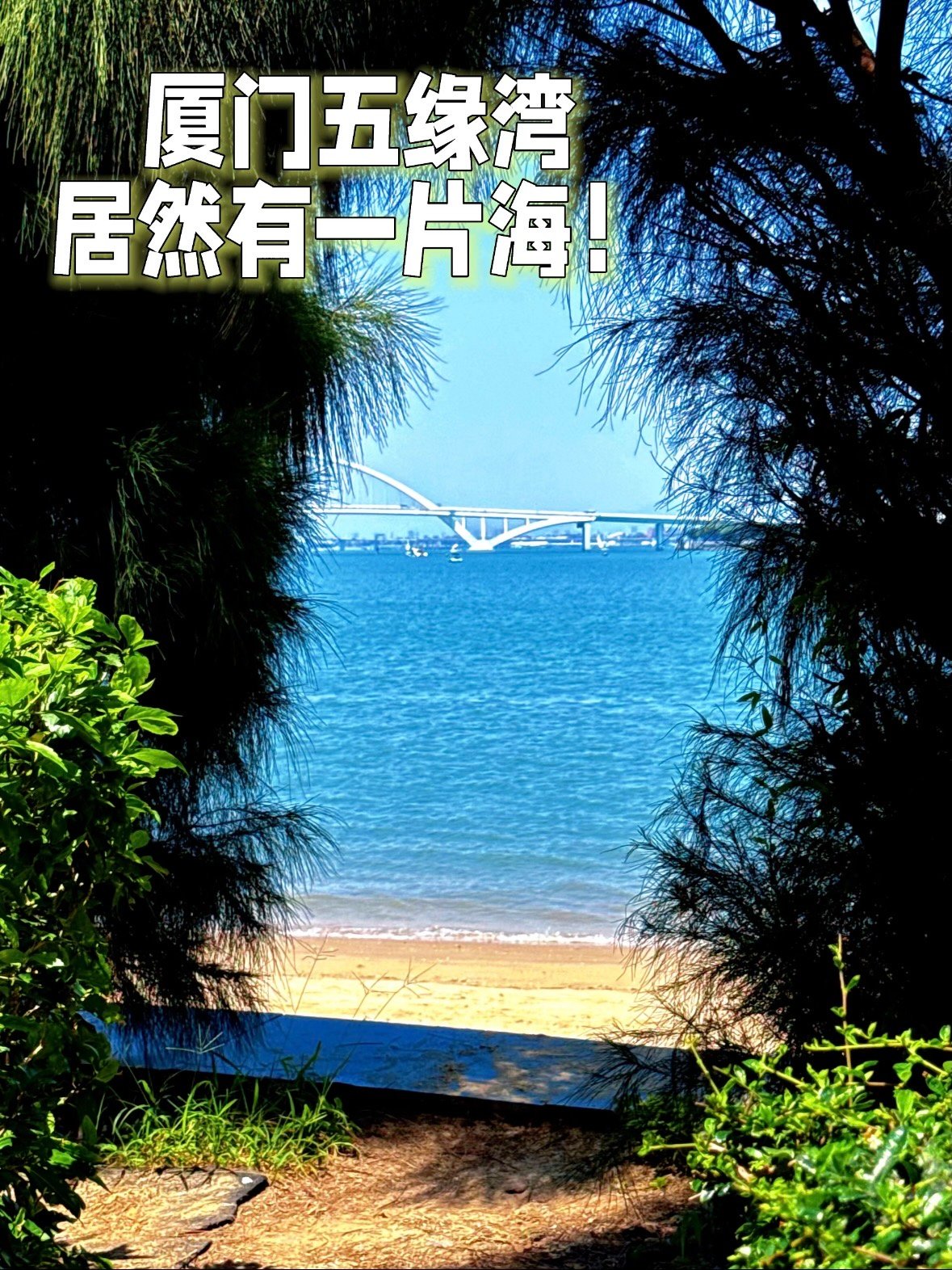厦门五缘湾｜藏在市区的小众治愈海湾🌊✨