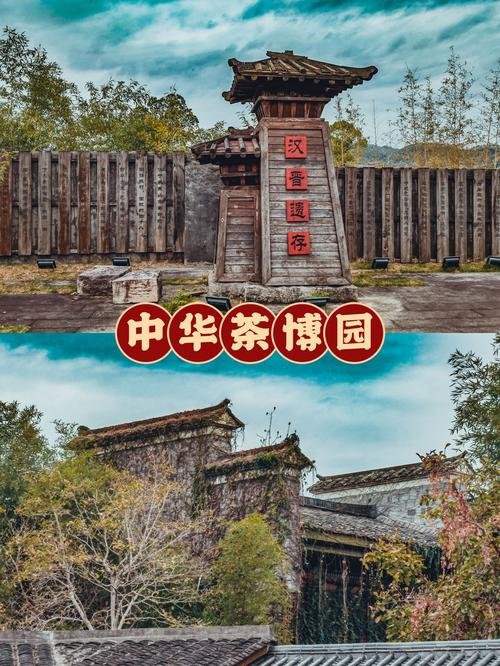 中华武夷茶博园游玩攻略🍵｜沉浸式解锁武夷茶文化