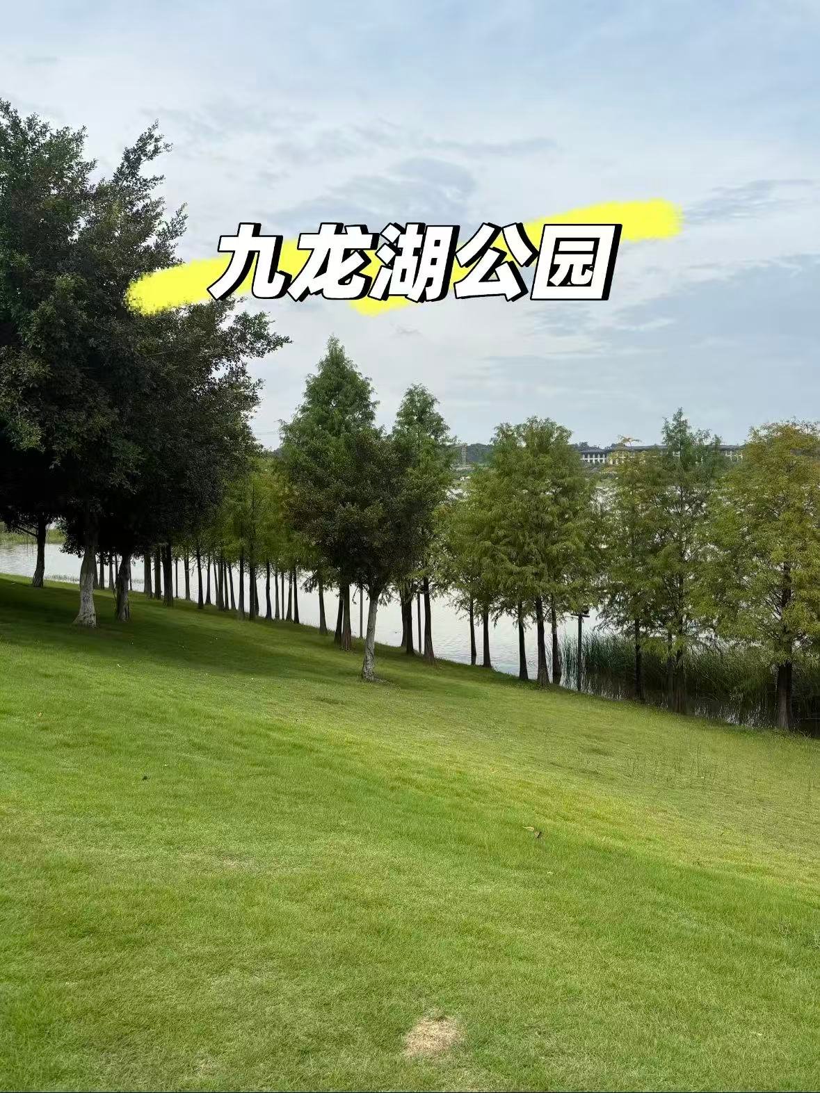 台州九龙湖公园｜城市里的森系绿洲🌿