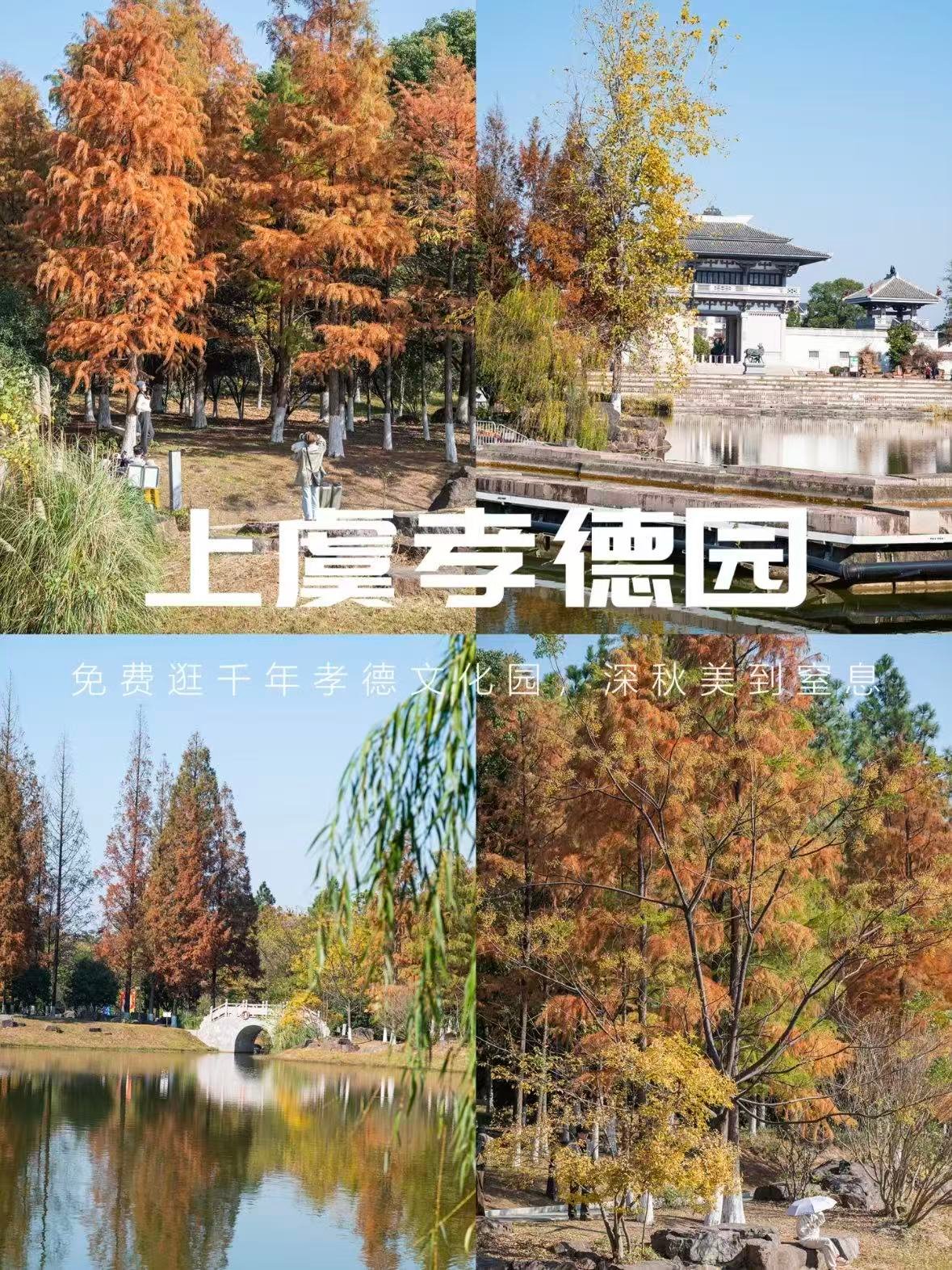 绍兴上虞孝德园｜藏在城市里的禅意与秋景秘境🌿