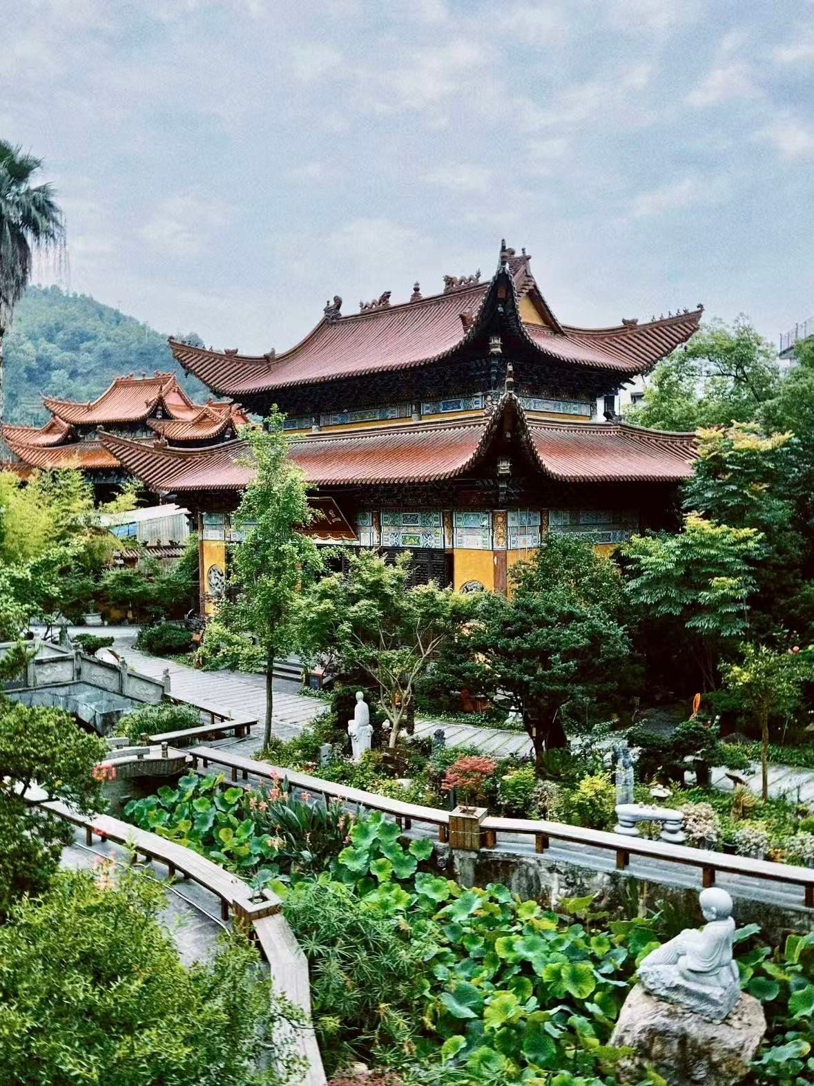 丽水真宁净寺｜藏在市区的禅意秘境✨