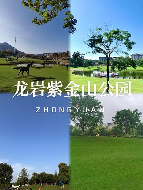 🌿龙岩紫金山公园｜藏在城市里的天然氧吧，治愈感拉满✨