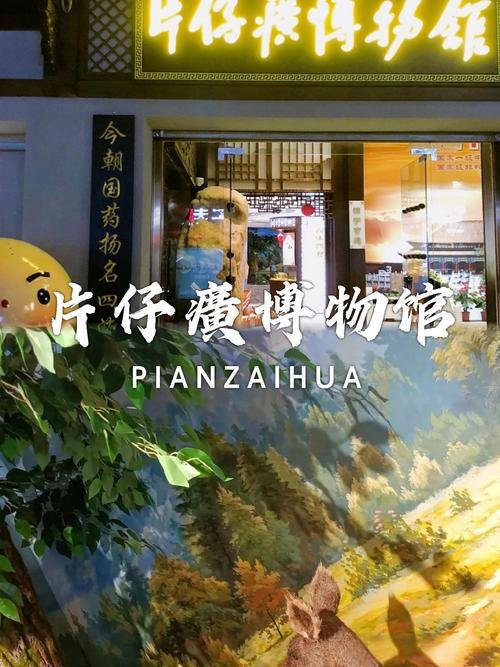 漳州片仔癀博物馆｜藏在古城里的中医药文化秘境🏮