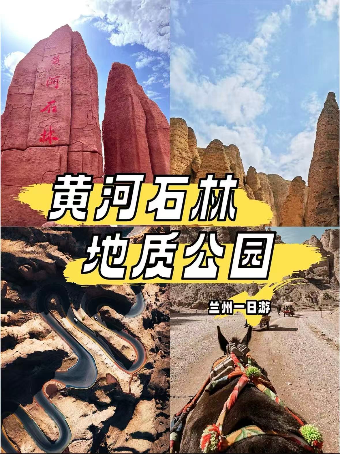 黄河石林｜西北最震撼的 “地球秘境”✨