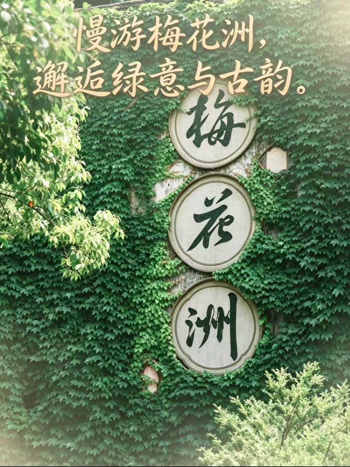 嘉兴｜梅花洲，藏在江南里的千年古韵与治愈绿意🍃