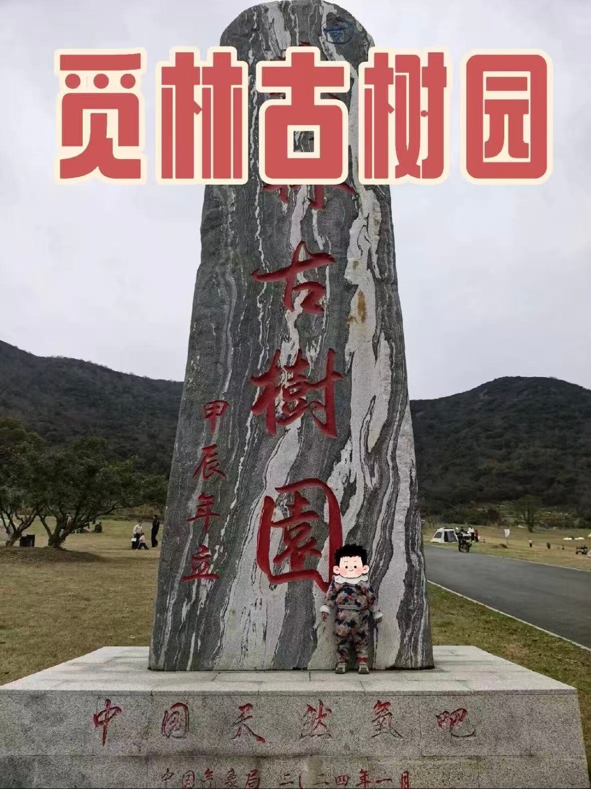 舟山觅林古树园｜藏在山里的天然氧吧🌳