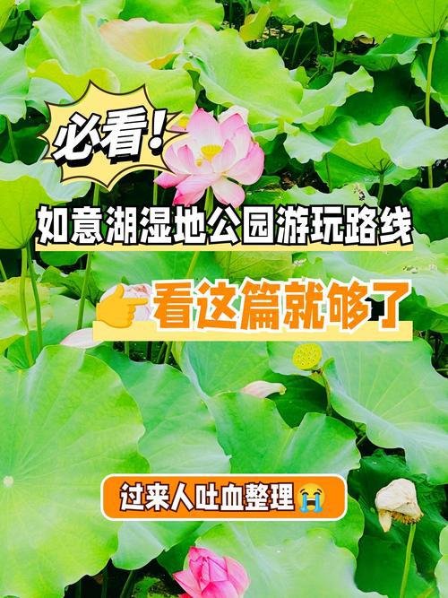 🌿三明如意湖湿地公园｜藏在城市里的治愈秘境，四季都有惊喜✨