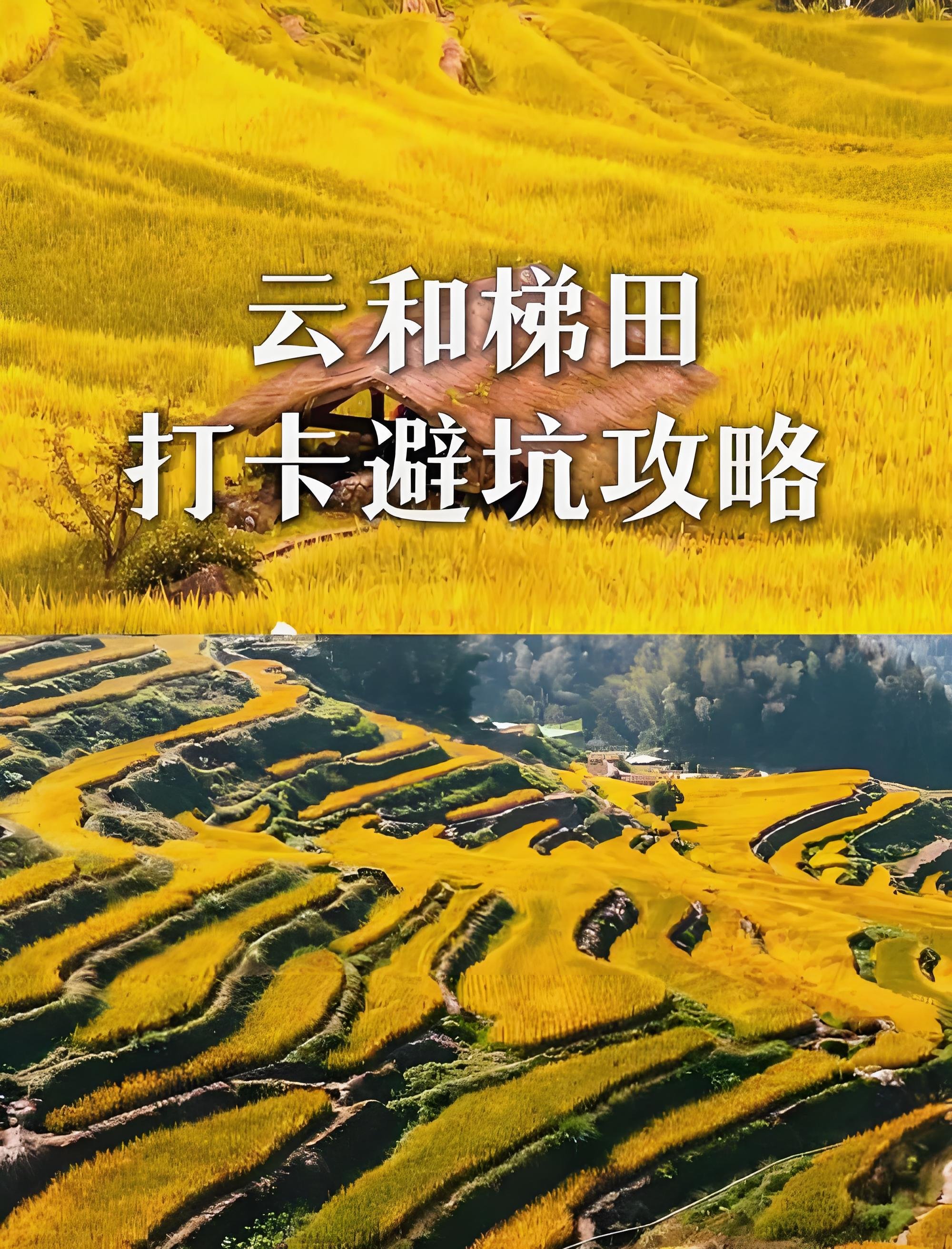 丽水云和梯田｜藏在浙南的大地艺术画卷✨