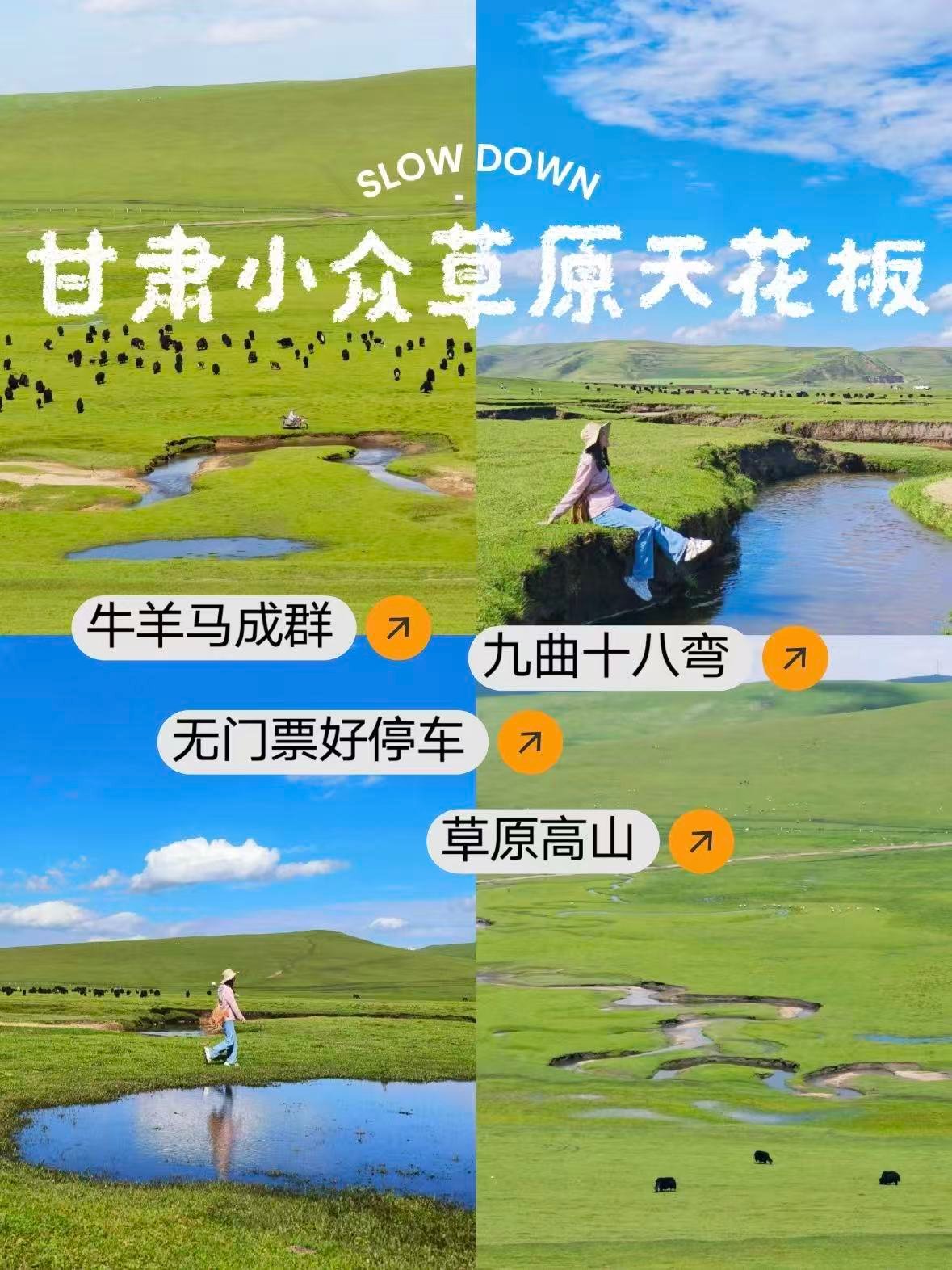 🌿 狼渡湿地草原亮点