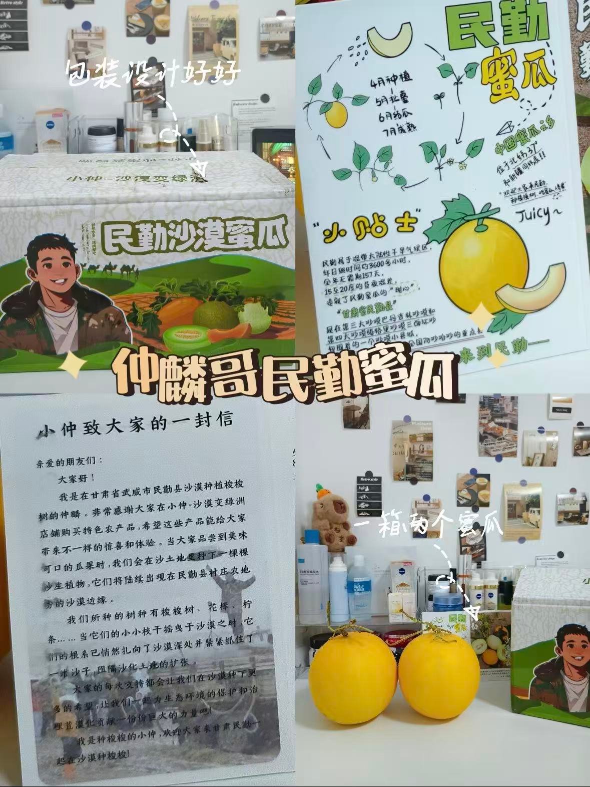 ✨民勤蜜瓜｜沙漠里种出来的 “黄金甜”🍈
