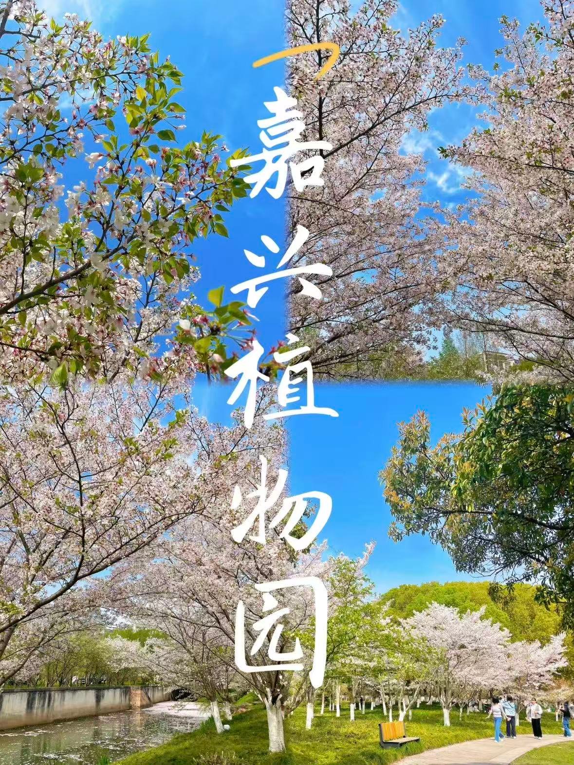嘉兴｜植物园，把四季的浪漫都装进了这里🌿