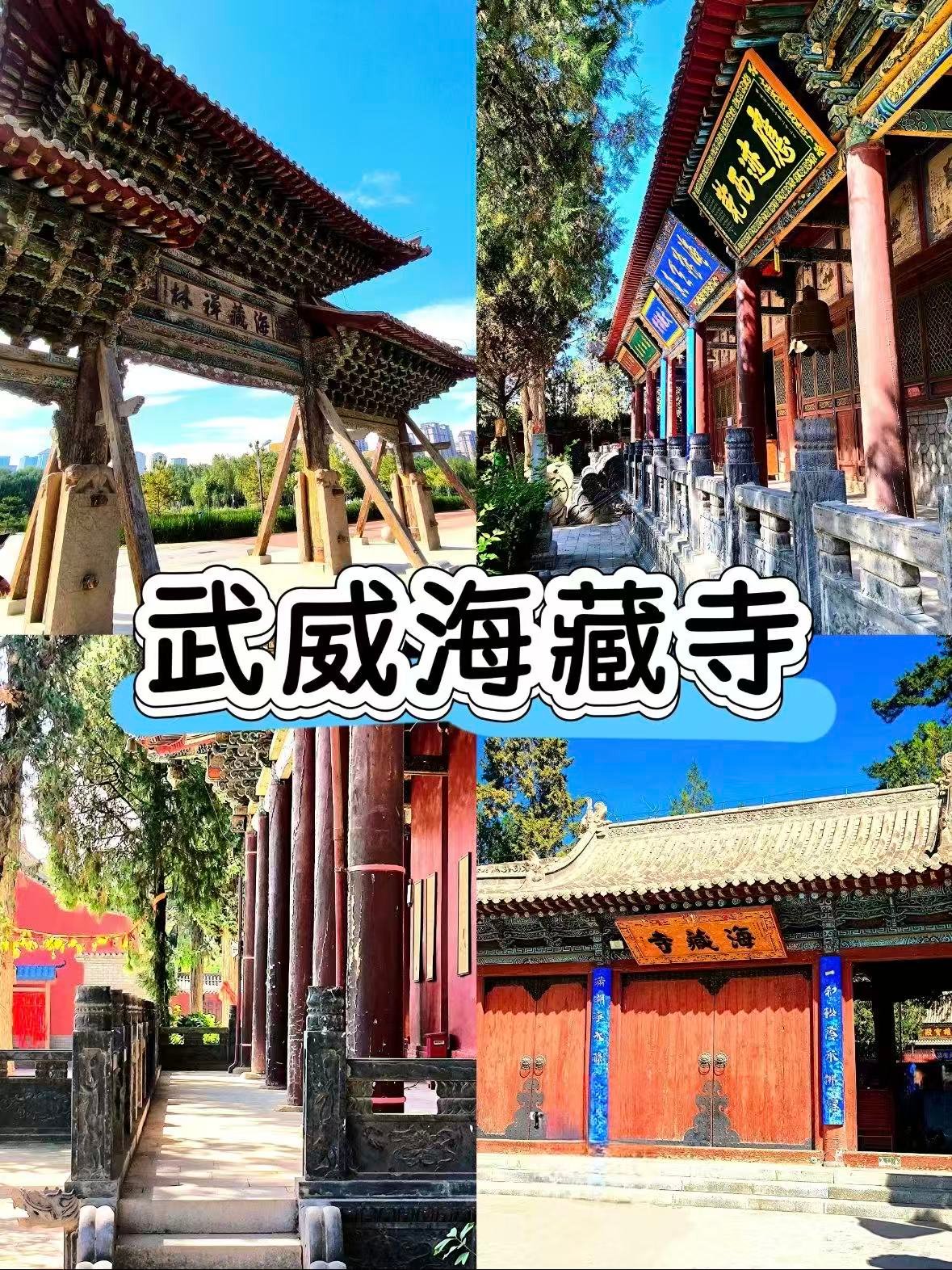 武威海藏寺｜藏在闹市中的千年禅林✨