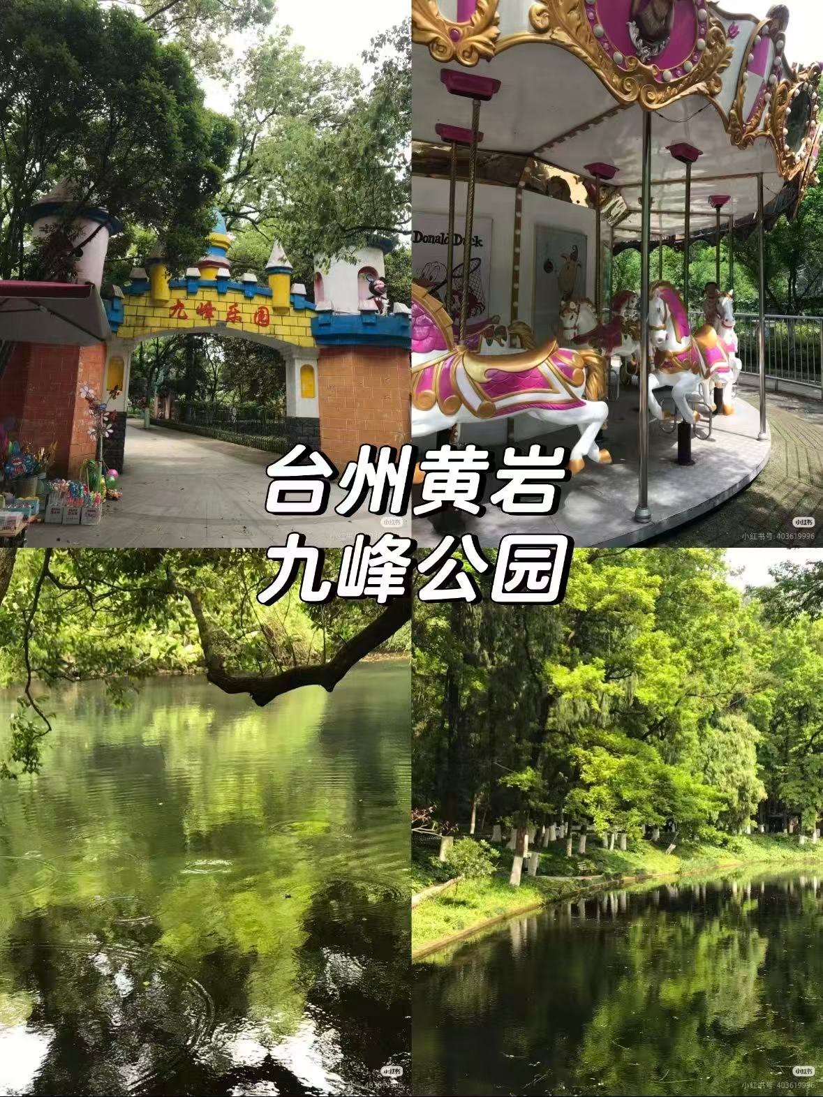台州黄岩九峰公园｜藏在城市里的千年秘境🌿