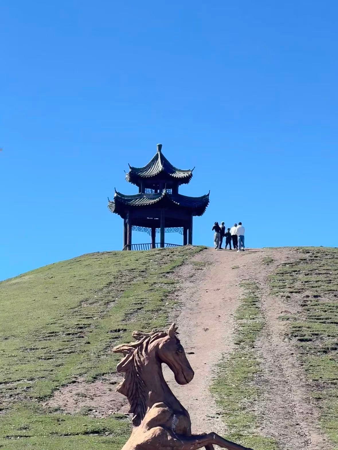 🌿 天水古坡草原｜藏在陇南山里的 “小瑞士”