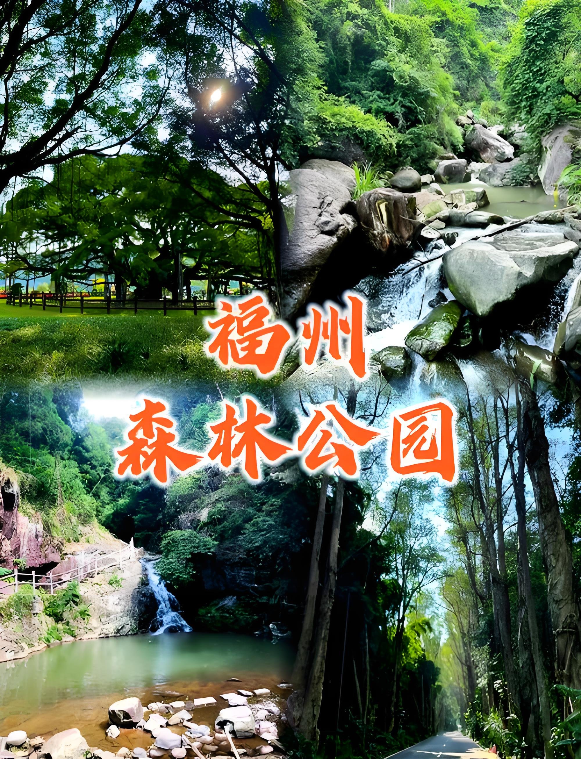 福州国家森林公园游玩全攻略🌲