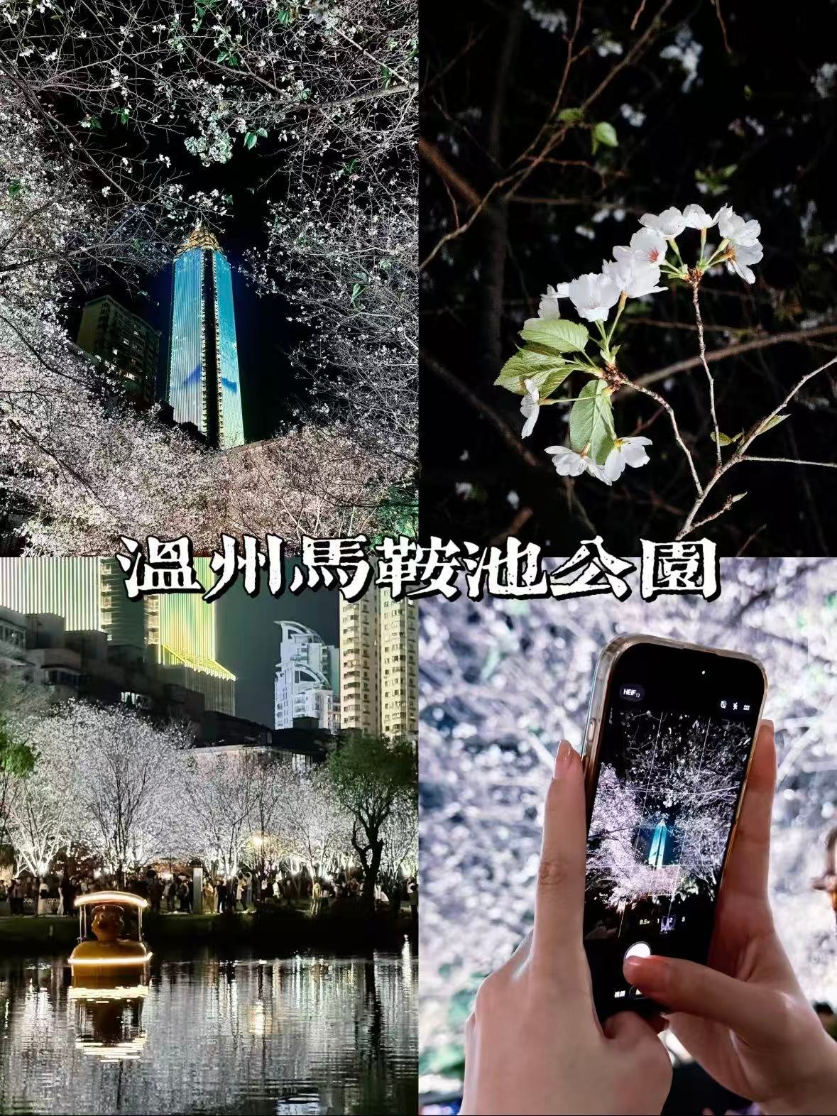 🌷 温州马鞍池公园｜藏在市中心的春日浪漫