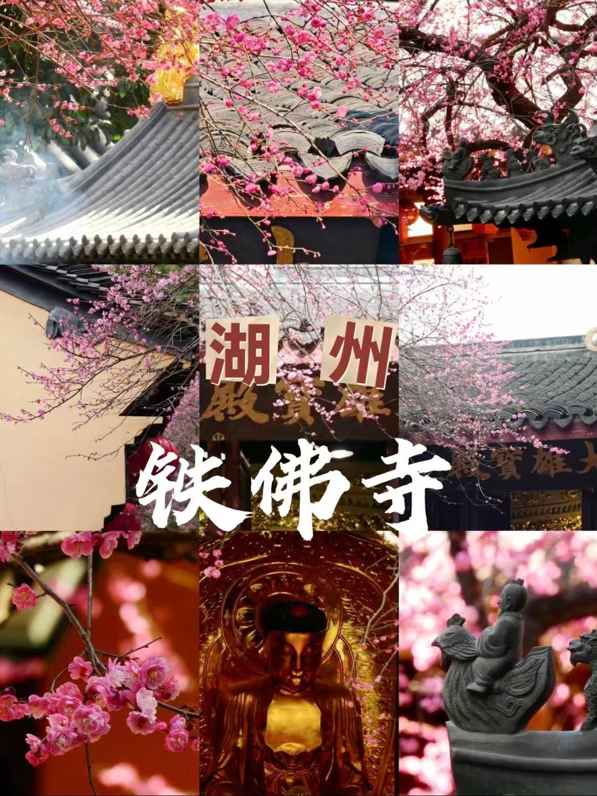 湖州铁佛寺｜藏在闹市里的春日秘境，红梅与古寺撞个满怀✨