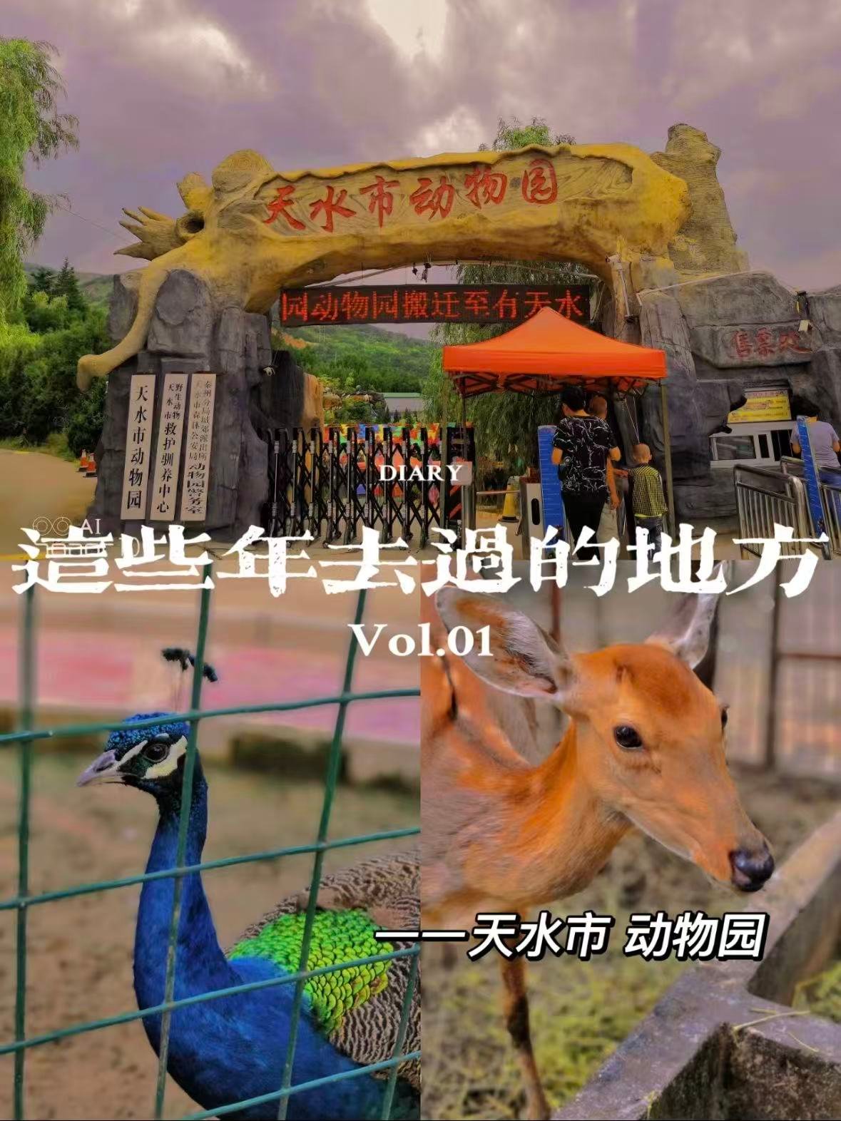 天水市动物园｜藏在山林里的治愈系动物乐园🦌