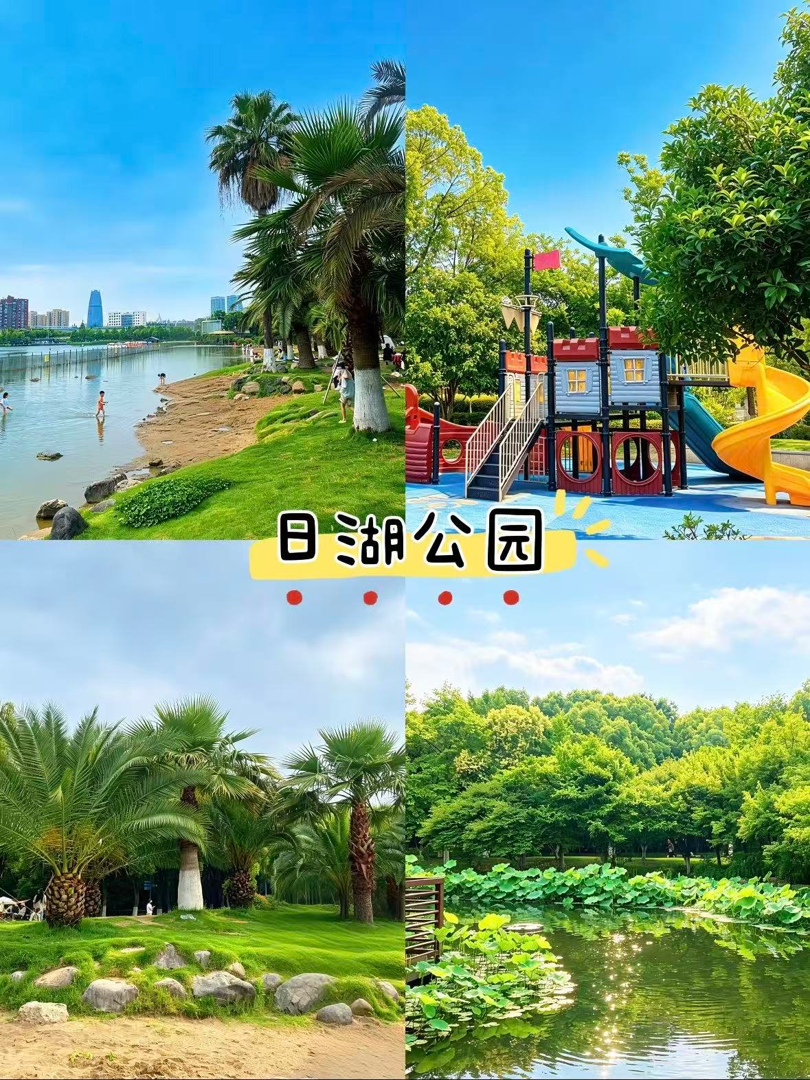 🌴 宁波日湖公园｜藏在市区的 “小三亚”