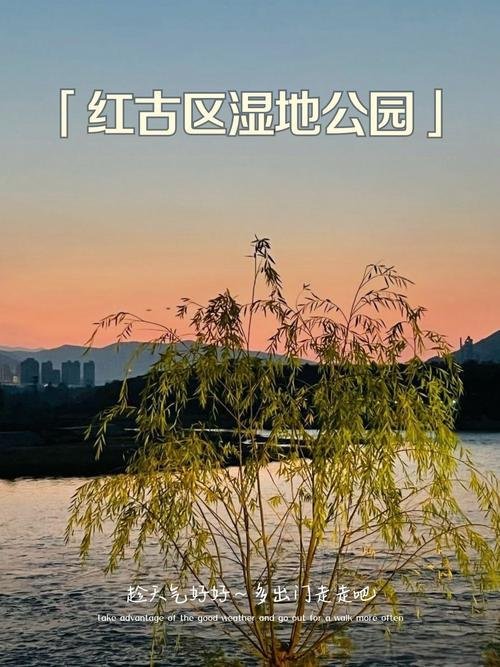🌿 兰州红古湿地公园｜黄河边的日落秘境，本地人私藏的治愈地