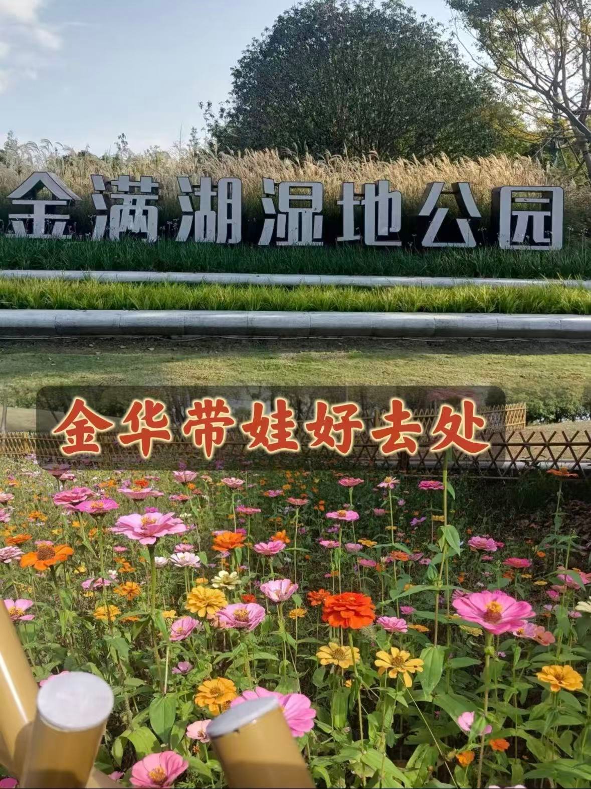 金华金满湖湿地公园｜藏在城市里的春日花海🌿