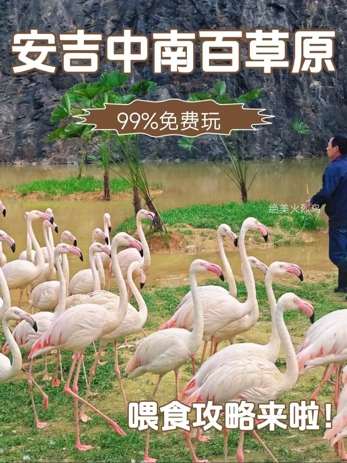 安吉｜中南百草原，一站式遛娃宝藏地🐼